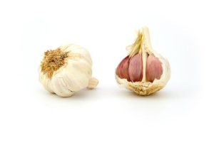 Garlic